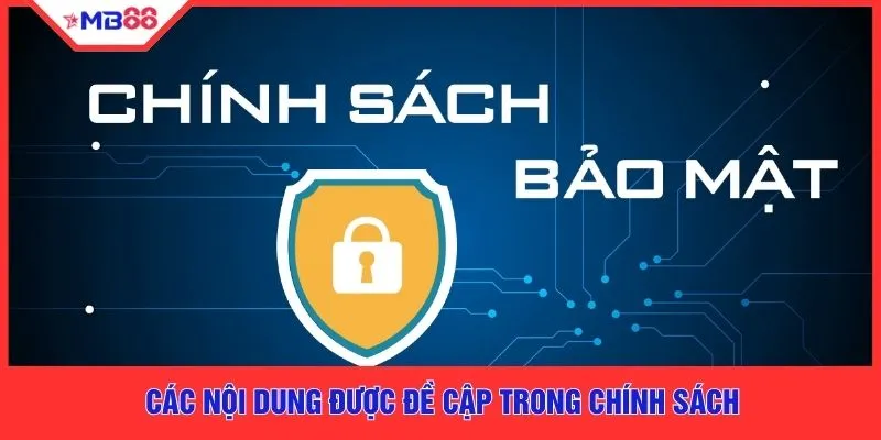 Các nội dung được đề cập trong chính sách