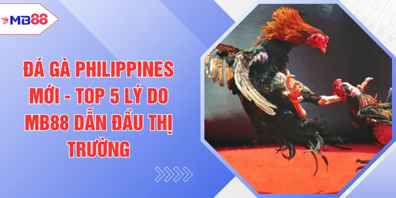 Đá Gà Philippines Mới - Top 5 Lý Do MB88 Dẫn Đầu Thị Trường
